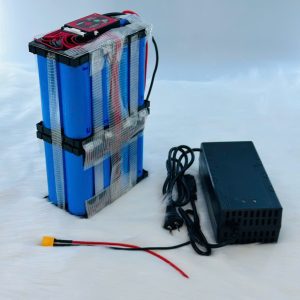 pin xe điện 48v 20 ah an toàn ko cháy nổ pin 40135